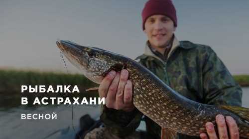 Что нужно для рыбалки в Астрахани список снаряжения