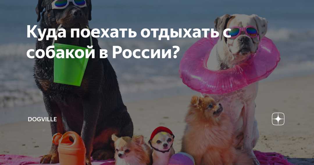 Куда поехать отдыхать с собакой в россии