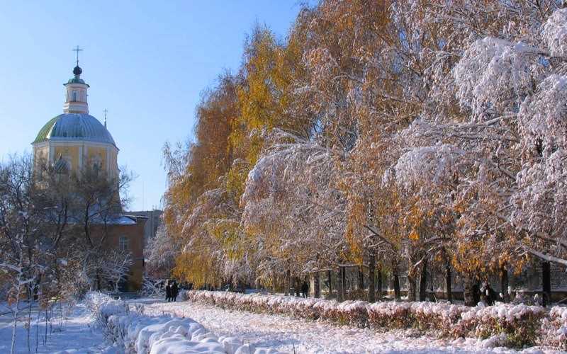 Экскурсии зимой в Воронеже